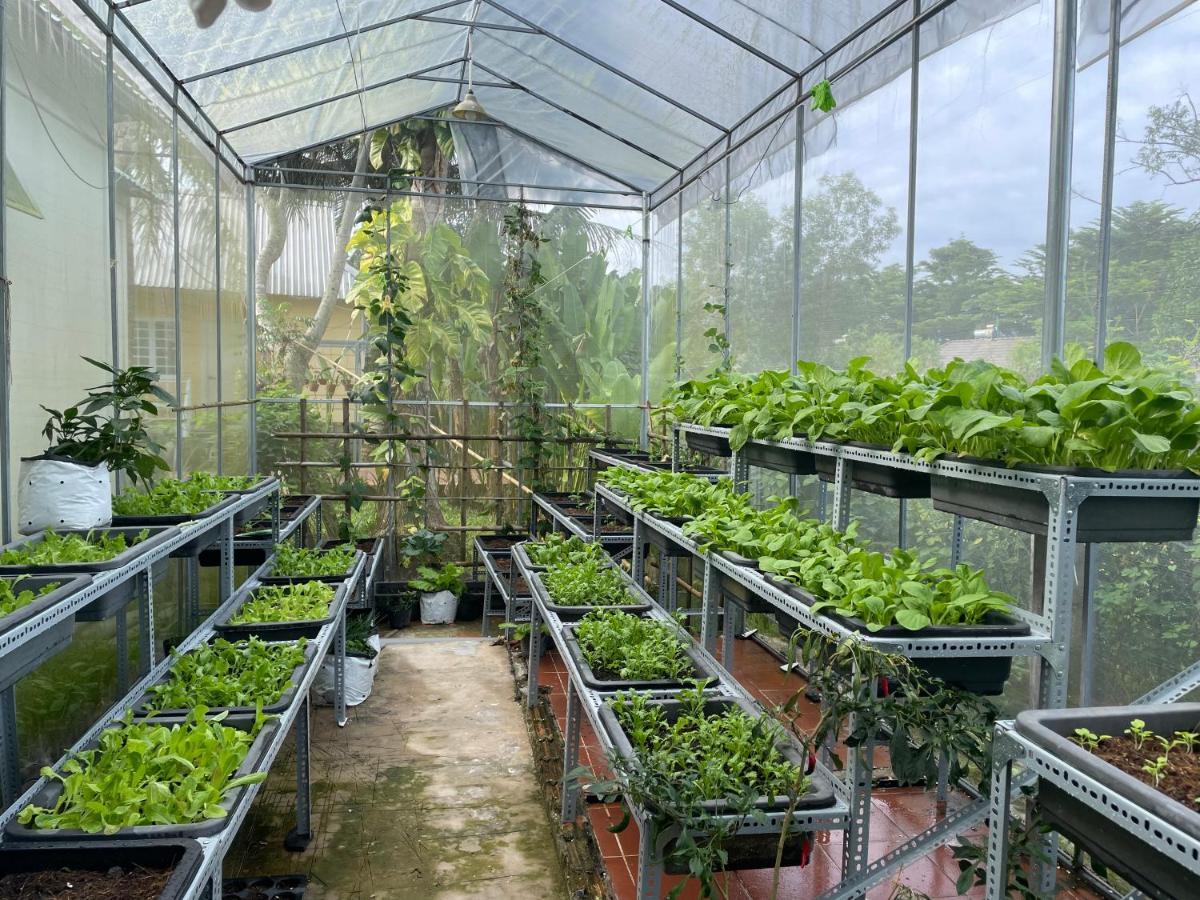Tropical Garden Phu Quoc Lägenhet Exteriör bild