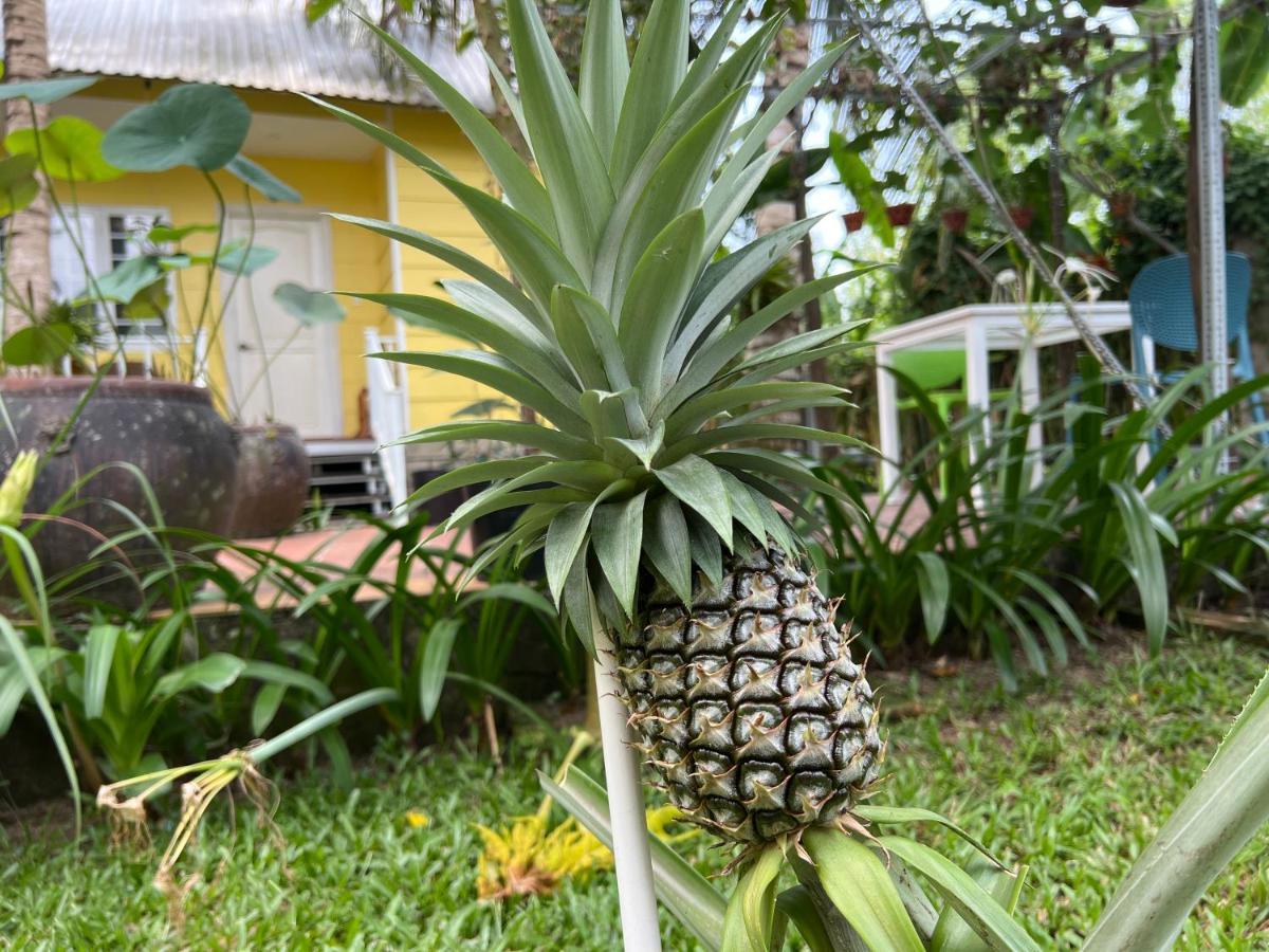 Tropical Garden Phu Quoc Lägenhet Exteriör bild