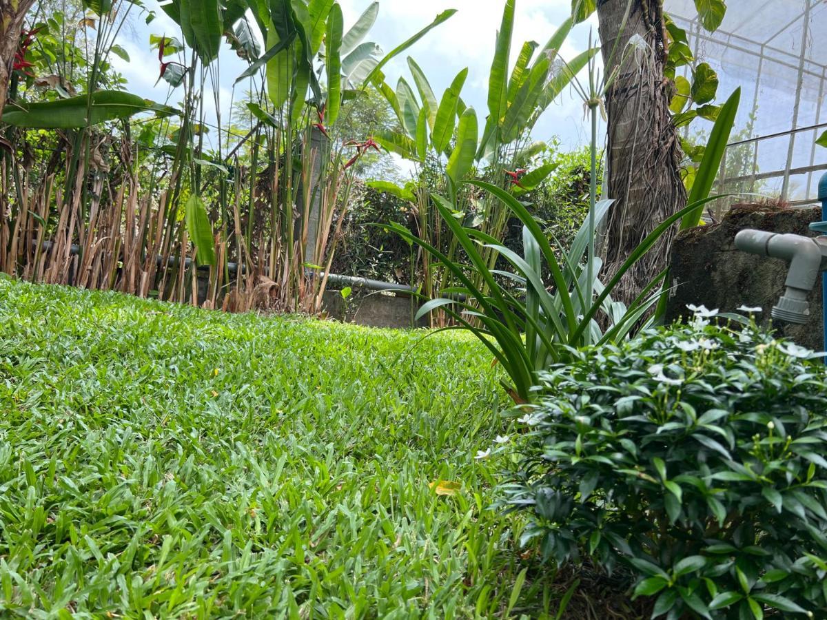 Tropical Garden Phu Quoc Lägenhet Exteriör bild