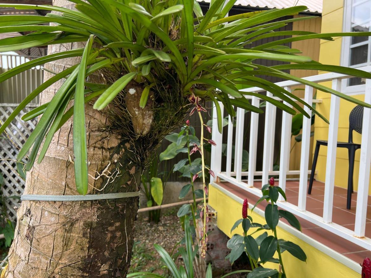 Tropical Garden Phu Quoc Lägenhet Exteriör bild